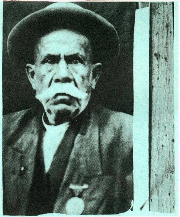 Teyfik Çavuş