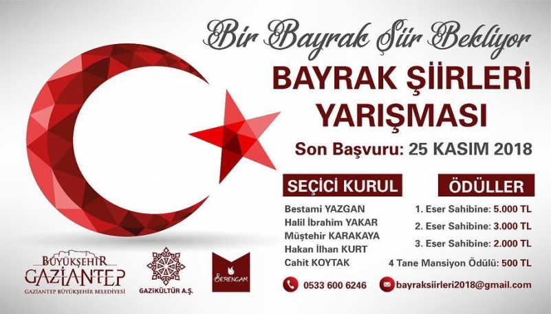 Bir Bayrak Şiir Bekliyor