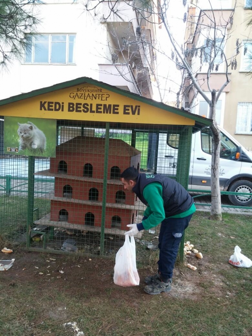 Büyükşehir, sokak hayvanlarını unutmuyor