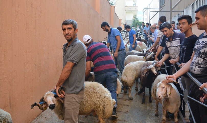 Gaziantep Yardım Vakfı'nda Kurban Bayramı hazırlığı