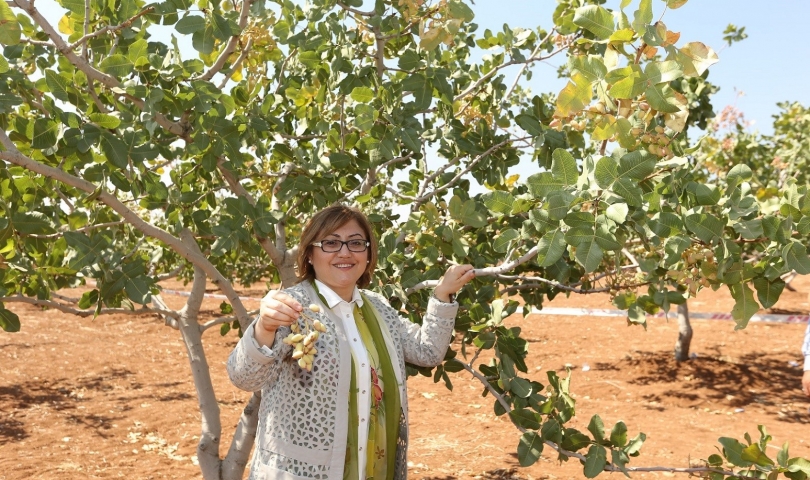 Uluslararası GastroAntep Festivali başlıyor