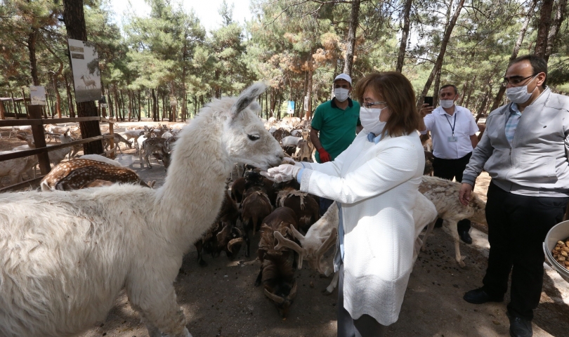 Gaziantep hayvanat bahçesi gün sayıyor