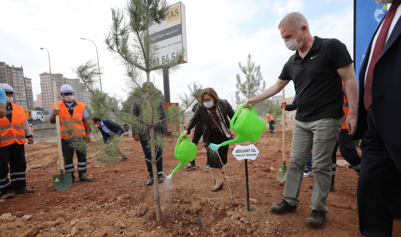 Büyükşehir kent merkezini ağaçlarla donatıyor