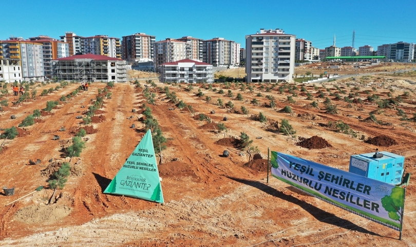 Fıstıklık Mahallesi, binlerce ağaçla yeşile bürünecek