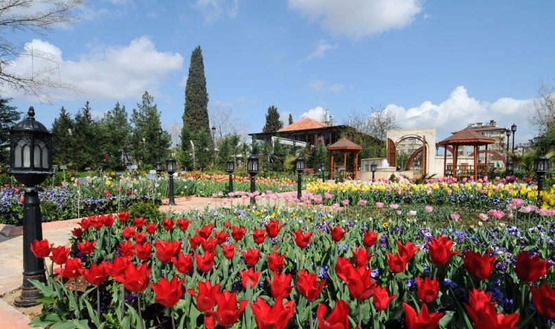 Botanik Çalıştayı için başvurular 5 Mart’a kadar devam edecek