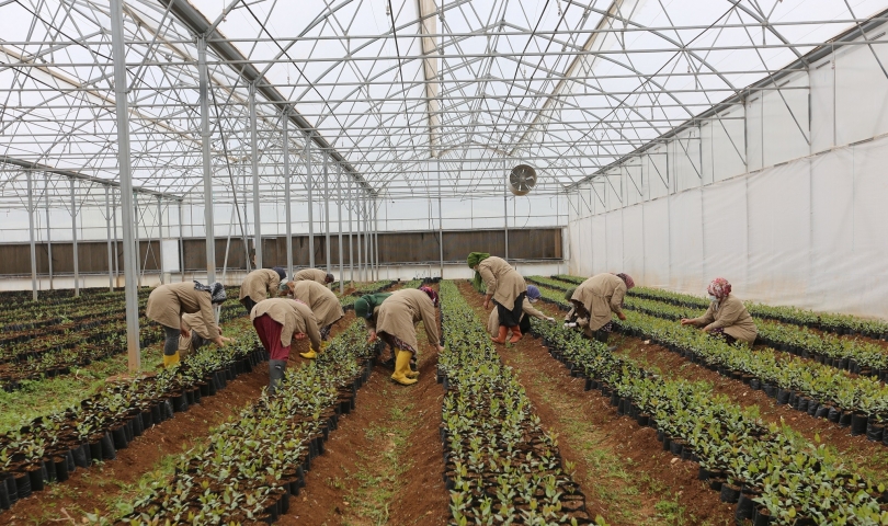 Büyükşehir Tarım Eğitimlerine başladı