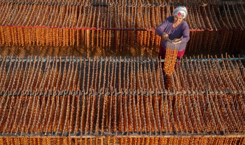 Büyükşehir’in düzenlediği fotoğraf yarışmasının sonuçları belli oldu