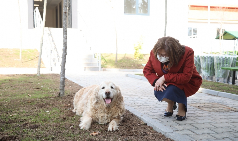 Başkan Şahin, yeni barınakta incelemelerde bulundu