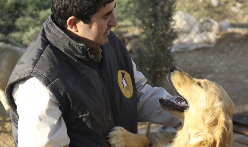 CAHİDE’den köpeklerin toplanmasına tepki