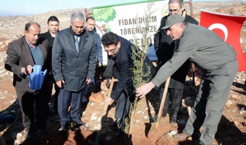 Antepfıstığı Araştırma Enstitüsü'ne duyurulur: 30 bin adet fıstık fidanı toprakla buluştu