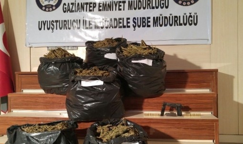 Oğuzeli'nde 60 kilo esrar ele geçirildi