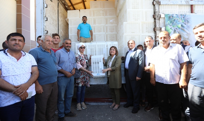 Gaziantep Büyükşehir, zeytin üreticilerine 40 bin hasat kasası dağıtacak
