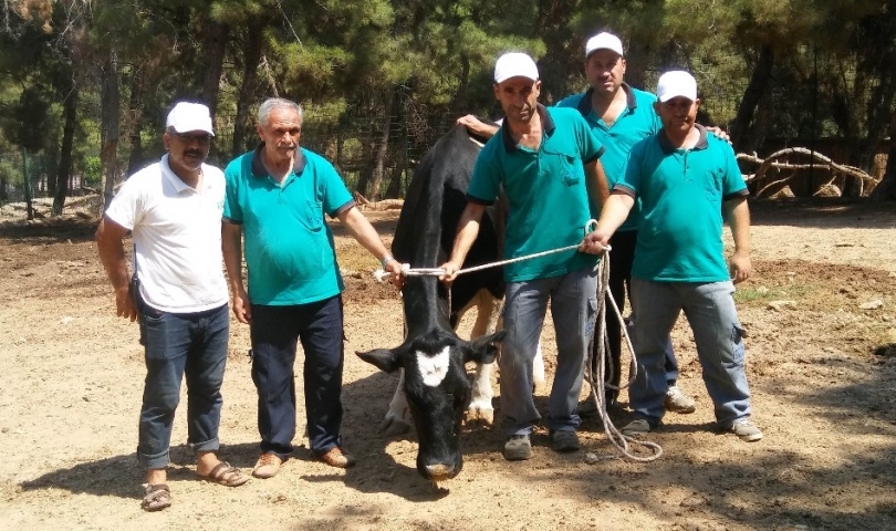 Gaziantep’te drone’li kurban yakalama timi