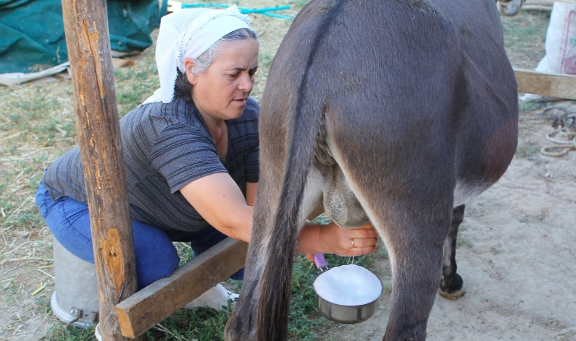 Fiyatı dudak uçuklatıyor