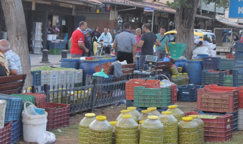 Yılın ilk zeytinleri tezgahlardaki yerini aldı