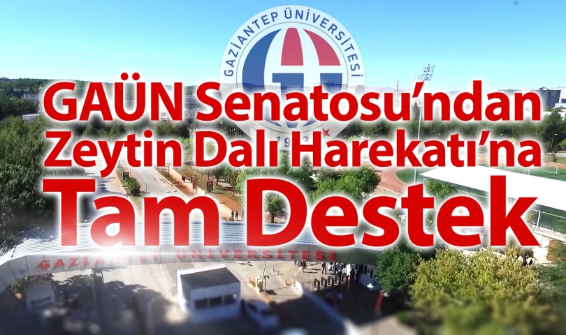 GAÜN Senatosu’ndan Zeytin Dalı Harekatı’na tam destek