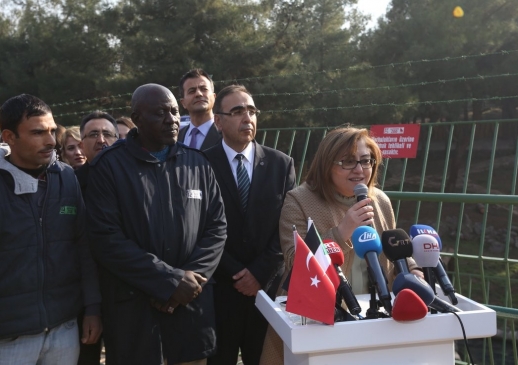 Cumhurbaşkanı Erdoğan'a hediye edilen aslanlar Gaziantep'te