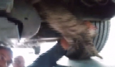 Aracın motoruna sıkışan kediyi tamirci ustası kurtardı