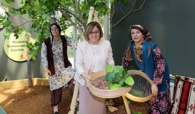 Dünya’nın İlk Ve Tek Fıstık Müzesi Açıyor