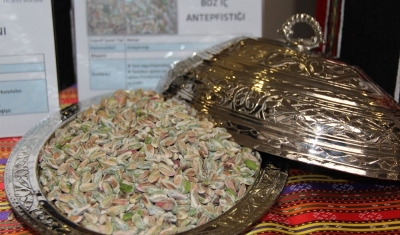 Baklavalık boz iç antepfıstığı tescilleniyor