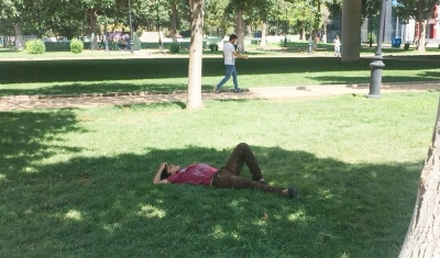 Sıcaklardan bunalanlar ağaç gölgesinde serinliyor