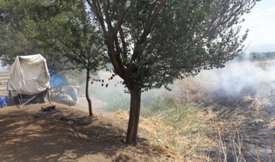 Yılanı yakmak isterken yangın çıkardı
