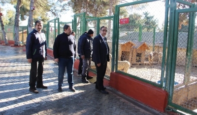 Hayvanlar için yerel müfettişler