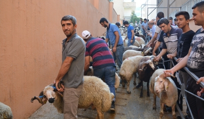 Gaziantep Yardım Vakfı'nda Kurban Bayramı hazırlığı