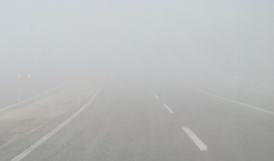 Araban’da sağanak yağış ve yoğun sis