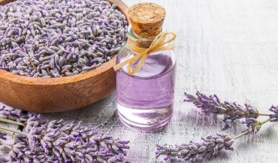 Lavanta Yağının Faydaları
