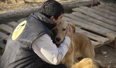 CAHİDE yaraları sarabilmek için seferber oldu