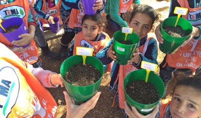 Bayramlı ilkokulu’nda  fıstık yetiştiriliyor