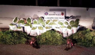 Gaziantep'te 199 Kilo Esrar Ele Geçti