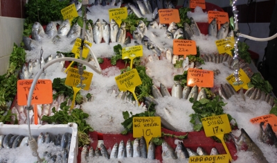 Sıcak havalar balıkçıları olumsuz etkiliyor