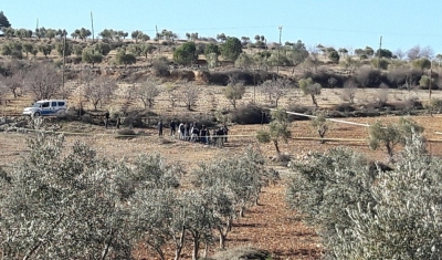 Kilis’te zeytin bahçesine roket düştü