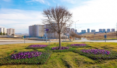 Mevsim Çiçekleri Gaziantep’i Süslüyor