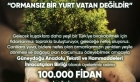 Güneydoğulu Tekstil İhracatçılarından 100 bin fidan bağışı