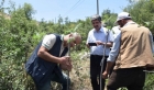 Gaziantep’de menengiç ağaçları Antep fıstığına dönüşüyor